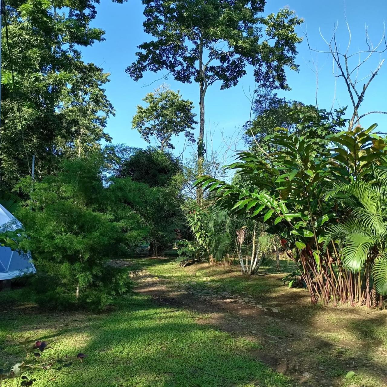 Glamping Naioth Leilighet Guápiles Eksteriør bilde