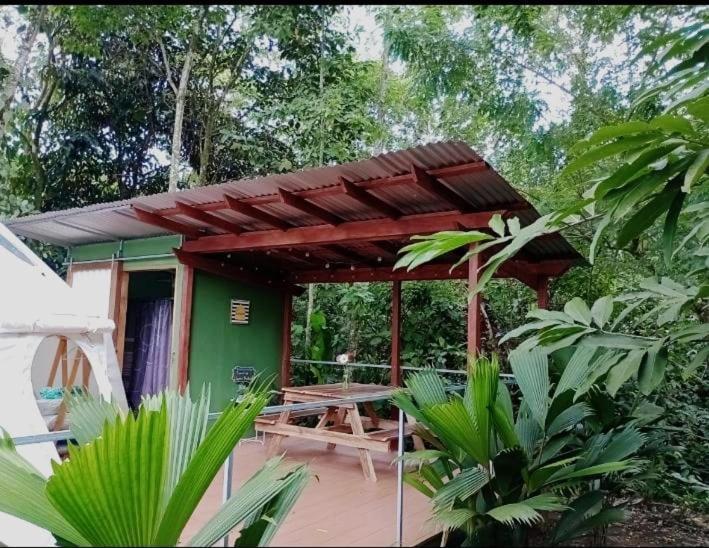 Glamping Naioth Leilighet Guápiles Eksteriør bilde