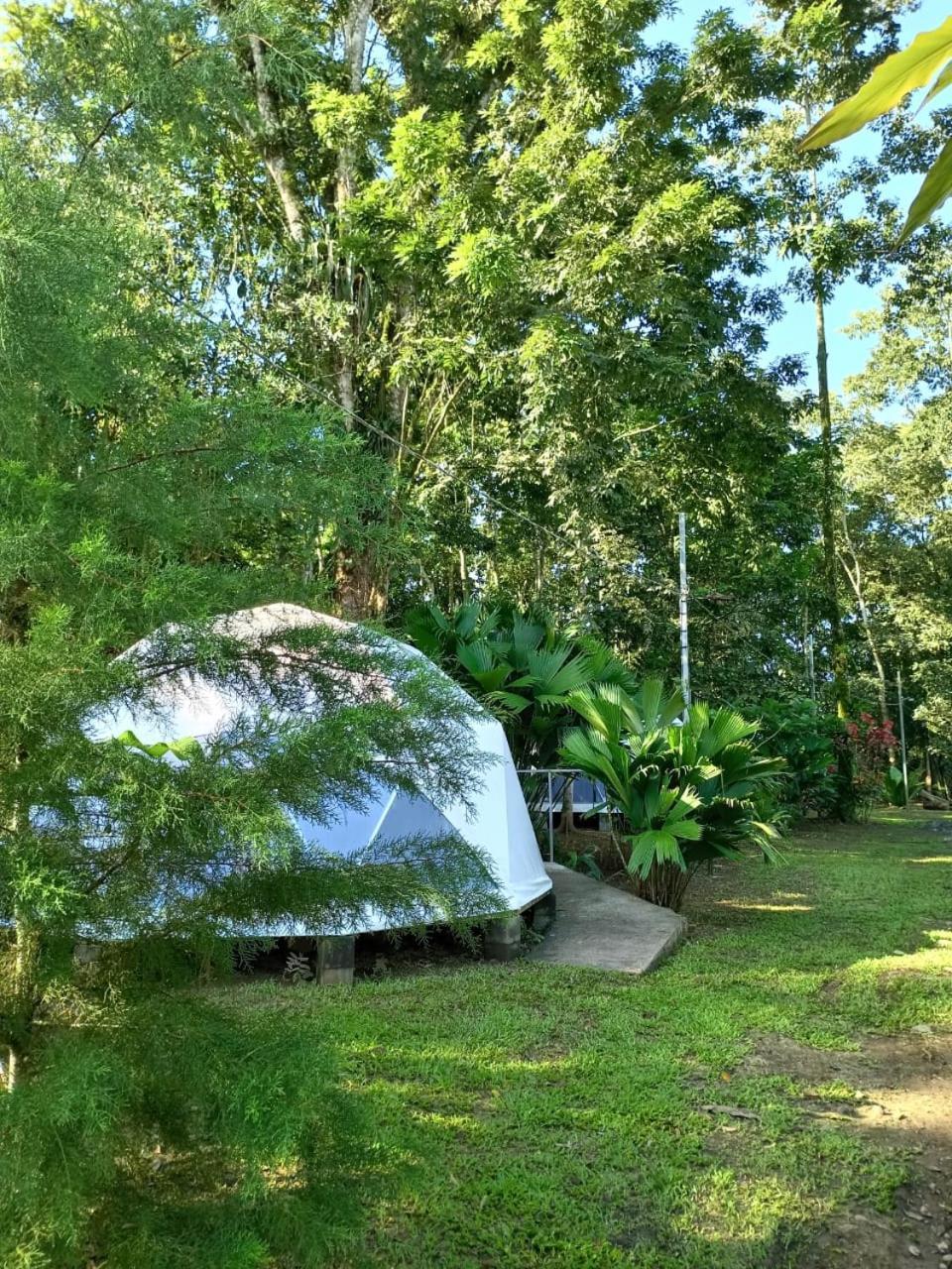 Glamping Naioth Leilighet Guápiles Eksteriør bilde