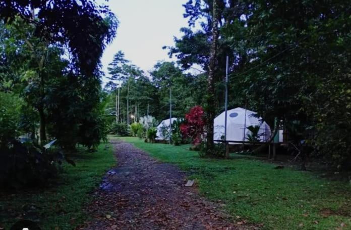 Glamping Naioth Leilighet Guápiles Eksteriør bilde