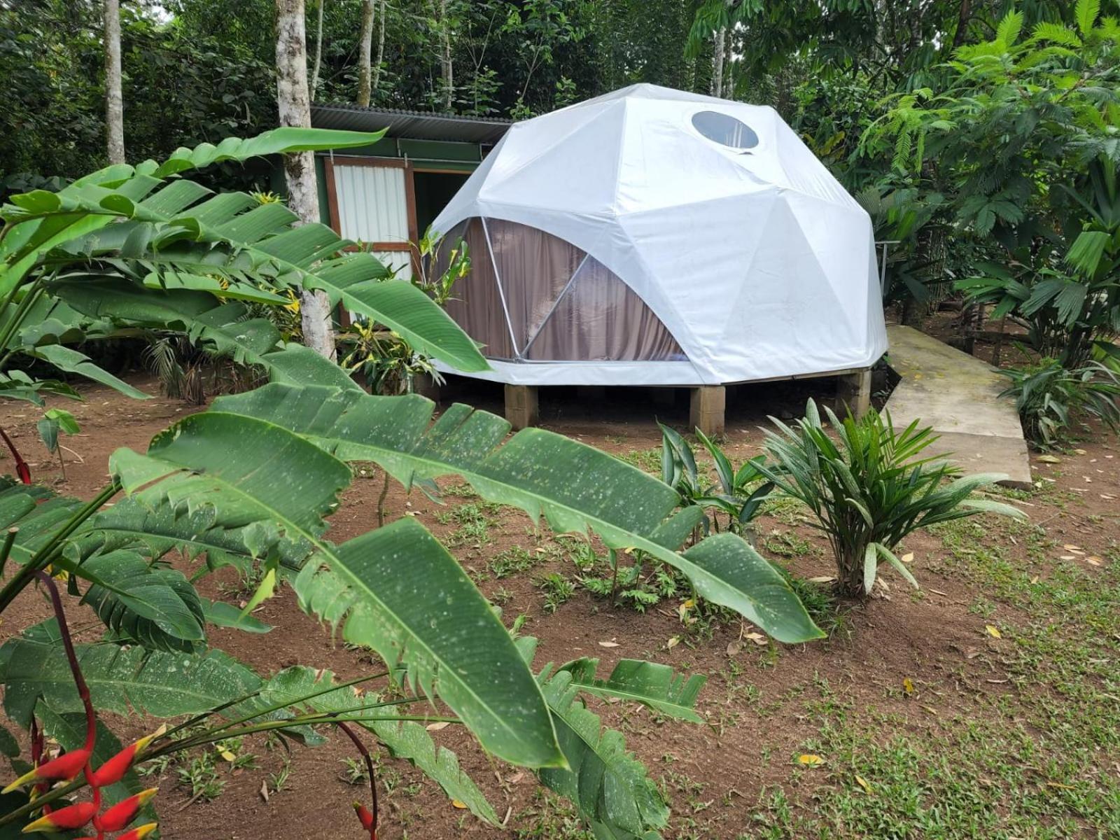 Glamping Naioth Leilighet Guápiles Eksteriør bilde