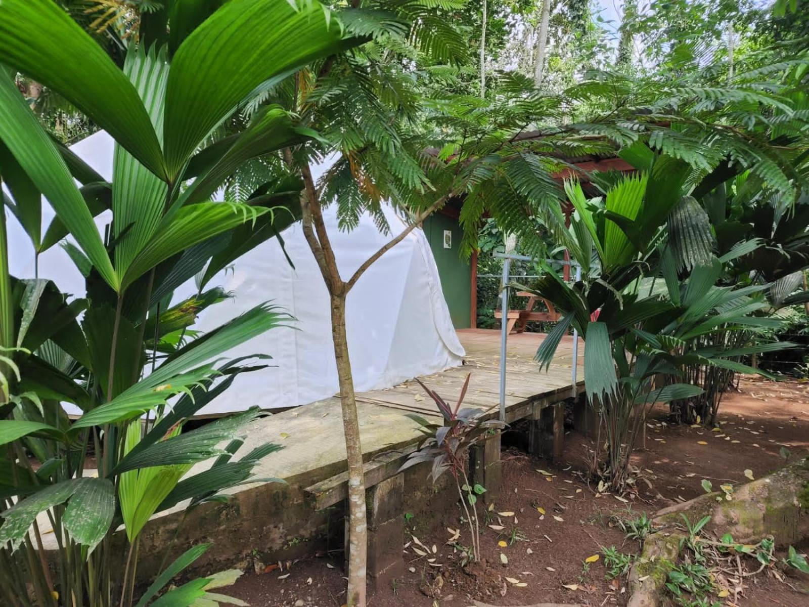 Glamping Naioth Leilighet Guápiles Eksteriør bilde