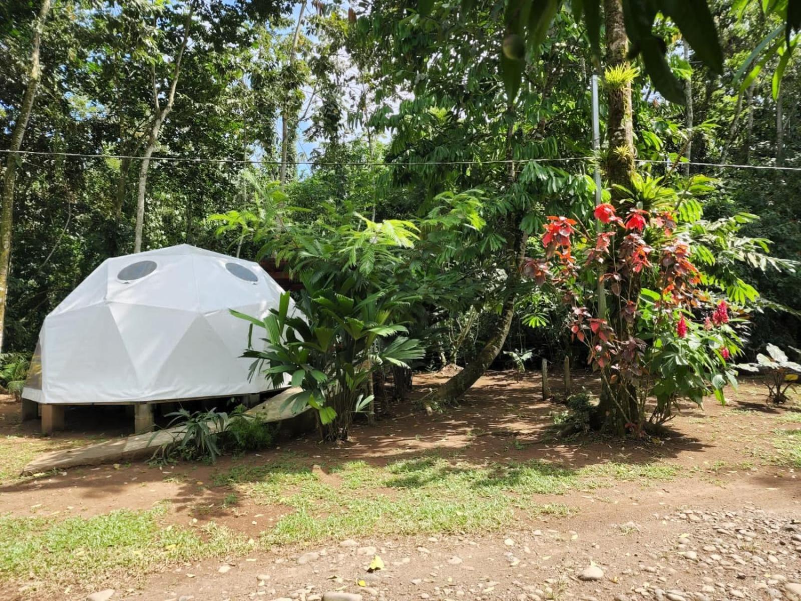 Glamping Naioth Leilighet Guápiles Eksteriør bilde
