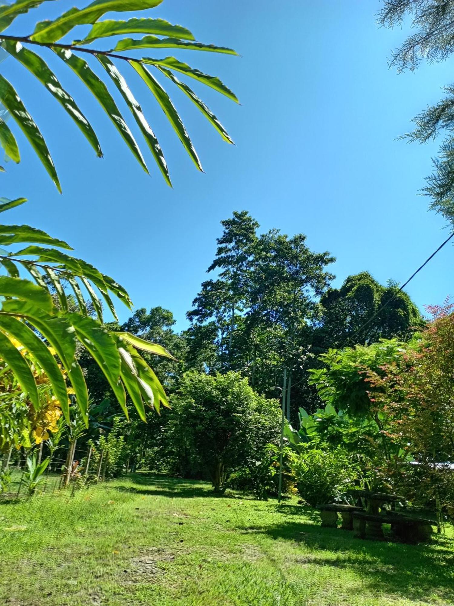 Glamping Naioth Leilighet Guápiles Rom bilde