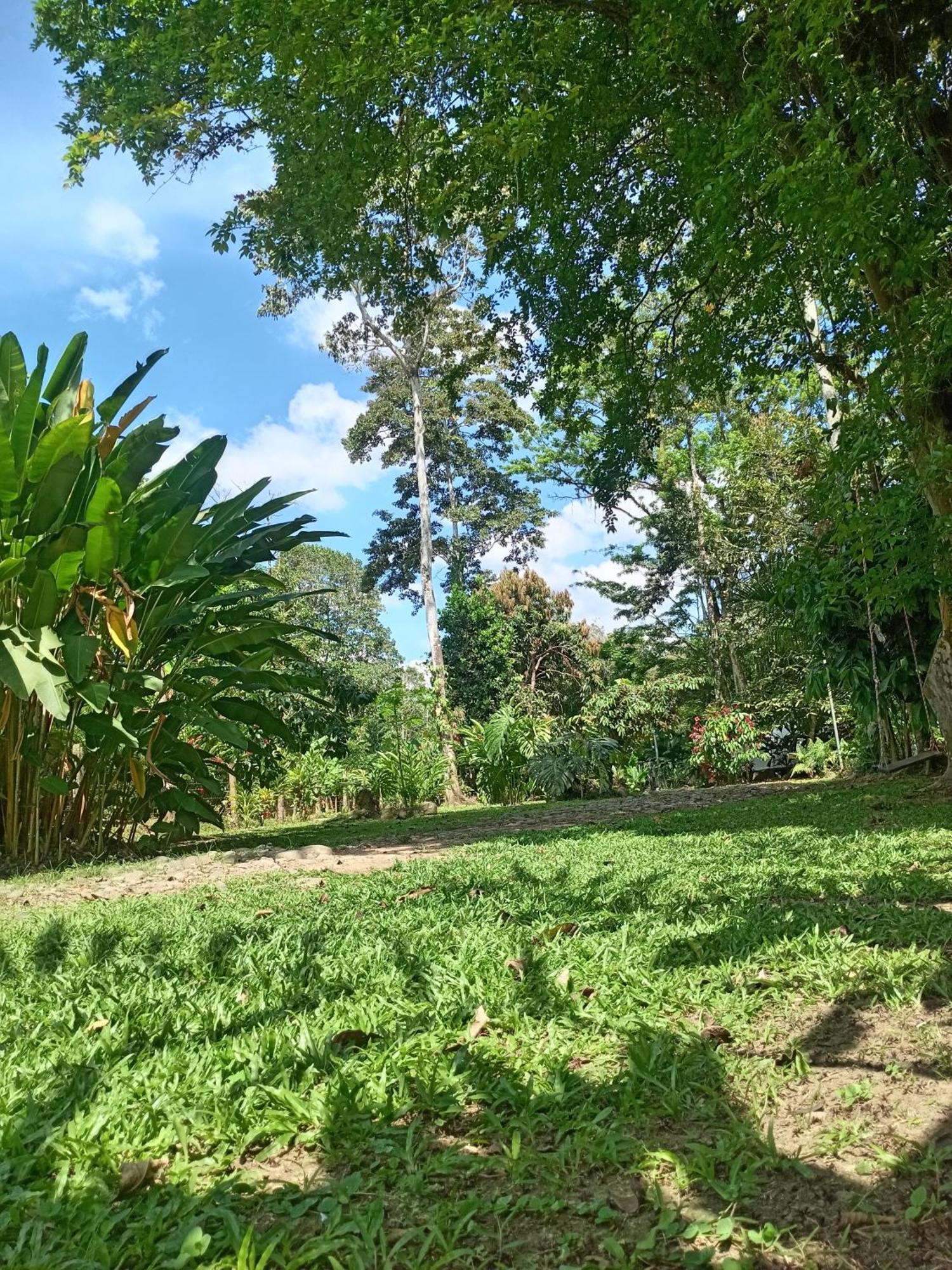 Glamping Naioth Leilighet Guápiles Rom bilde
